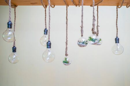Decorated cozy lamps stick in the rope and little tiny tree with small white rock inside the ball glass hang on to big wood log in front of white background.の写真素材