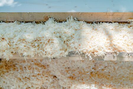 worker scrubs the big long wood plate with polishing machine in the garden.の写真素材