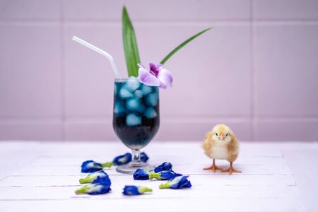 a yellow little chick with butterfly pea water and ice in a champagne glass is decorated by orchid and pandan leaf. It's shown and displayed on a pastel pink wood table in front of the cement wall.の写真素材