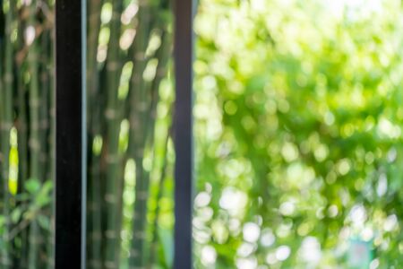 Background of blur green fresh leaf and vine in the garden at morning Monday for any nature background and backdrop.の写真素材