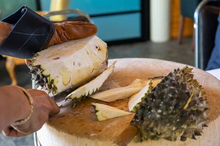 Durian Seller are showing how to open and explain informations and details to audiences about type...