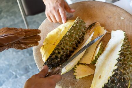 Durian Seller are showing how to open and explain informations and details to audiences about type...