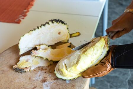 Durian Seller are showing how to open and explain informations and details to audiences about type of durain on the lunch table.の写真素材
