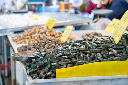Mussel in Shelll, frozen on ice for sale and cook, in fresh market.の写真素材
