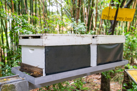the honeycomb box with the bee inside it.