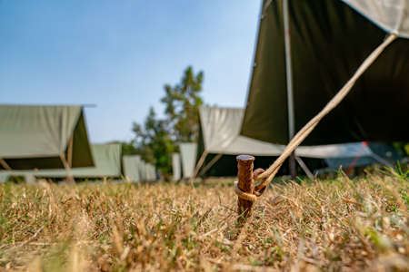 The simple and normal empty Canvas Tents in the row and column on the grass field at outdoor field in afternoon time.の写真素材