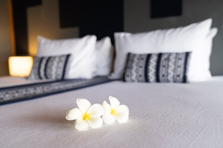 Frangipani flower or Lan Thom in Thailand name, is on the white king bedroom at hotel with morning light from outside room.の写真素材