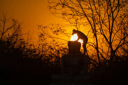 Silhouette Buddha statue and Asian worker, he is working and casting Buddha statue at twilight sunset background. Thailand.の写真素材