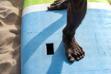 An example position of Asian professional feet on a surfboard in surfing board lesson study and training by the teacher.の写真素材