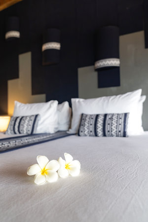 Frangipani flower or Lan Thom in Thailand name, is on the white king bedroom at hotel with morning light from outside room.の写真素材