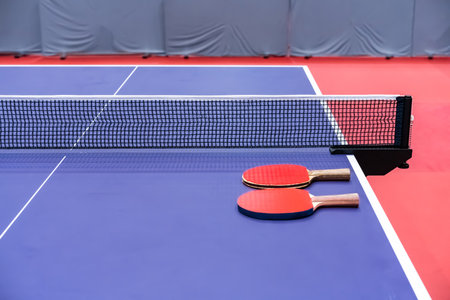 Two table tennis rackets for playing are laid on next to net on the blue table.