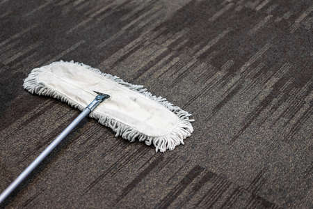Use Clean White Mop on brown Carpet.