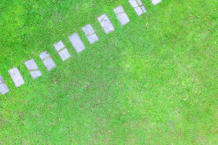 Topview garden path made of stone which is surrounded by green grass in a large lawn.の写真素材