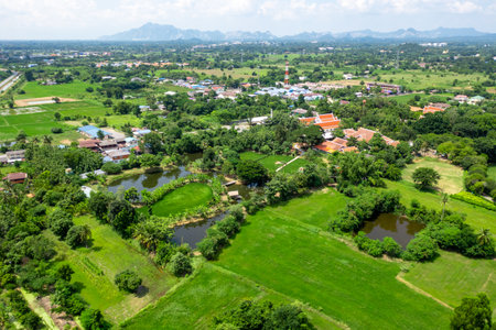 Drone view of Sufficiency Economy, Land full of agricultural activities with green rice fields, big ponds, and trees. Small houses and temple close by a pond.の写真素材