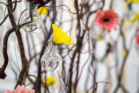 Dried and preserved flower stems comes in different colors Pink, yellow, red, purple, and white. This background shoot in light studio.の写真素材