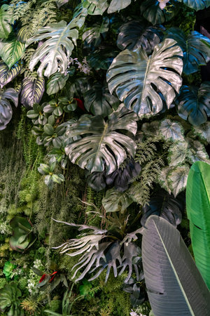 A Vertical garden filled with various type of small tree arranged together giving the feeling of fresh and relaxation.の写真素材