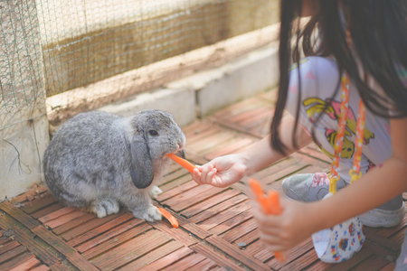 Big ear rabbit on the brick floor eats carrot stick, fed by kids traveling to the rabbit farm.の写真素材