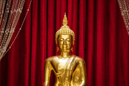 Brightness golden Buddha is sitting meditation in front of red scarlet curtain.の写真素材
