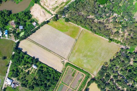 Asia topview of the Drone view around rice field farming in Uthaitani province, Thailand.