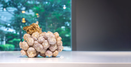 Garlic Bundle in studio light on the white marble surface table, with green blur outdoor tree background.の写真素材