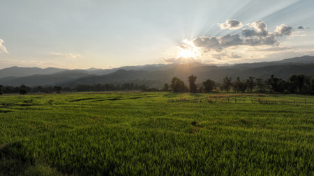 Aerial view of terraced agriculture field among greenery mountains with the blue cloudy and sunlight...