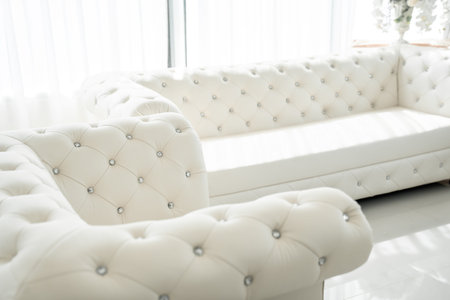 In a room that sparkles with mirrored walls and sun-drenched light, a sophisticated sofa set exudes elegance and style.の写真素材