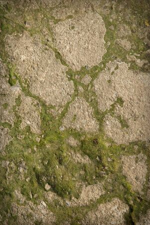 abstract background of a cement flooringの写真素材