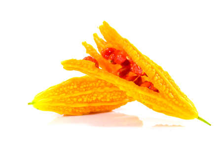 bitter melon on white backgroundの写真素材