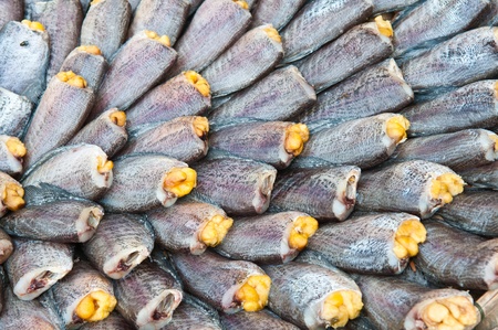 dry gourami fish and spaenの写真素材