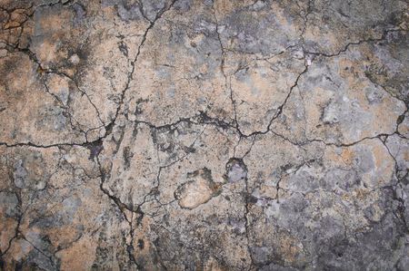 abstract background   cement surface close upの写真素材