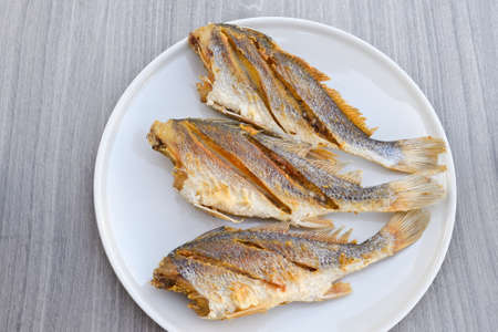 Fish fries in white plateの写真素材