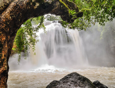 Waterfall in national Park , Thailandの写真素材