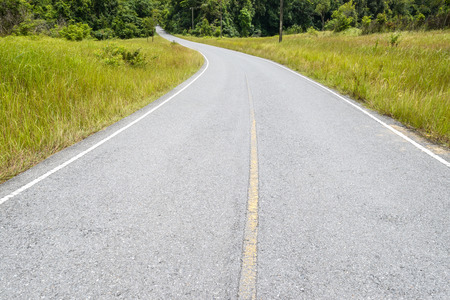 old asphalt road in the forest