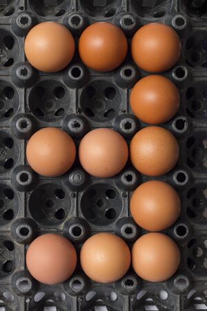 Number three of eggs from chicken farm in the packageの写真素材