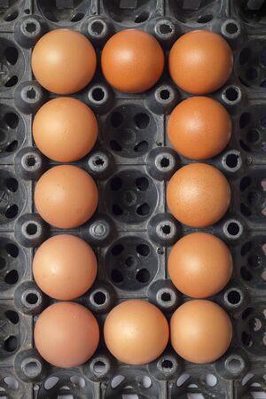 Number zero of eggs from chicken farm in the packageの写真素材