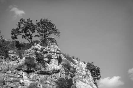 Mountain scenery in black and whiteの写真素材