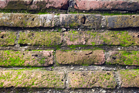 Moss growing on brown brick wallの写真素材