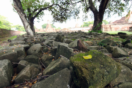 Group of dried rocks with highlighted one rock that has moss and dried leafの写真素材