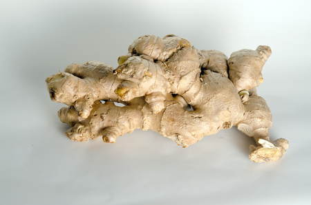 Ginger (Other names are Zingiber officinale, Zingiberaceae, Curcuma longa, Elettaria cardamomum,...