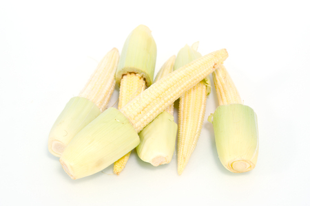 Baby corn fruit (also known as young corn, mini corn, cornlettes, candle corn, Zea mays L, Gramineae) grouped and isolated on whiteの写真素材