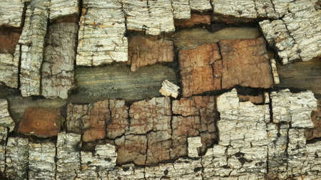 Background wood grain patterns