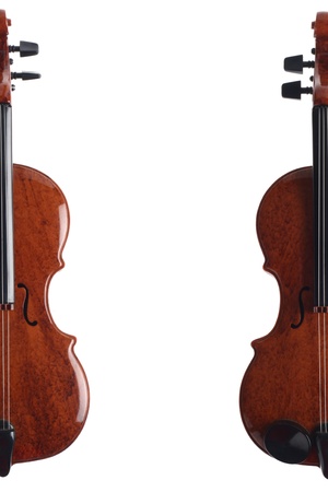 Violin Ornamentの写真素材