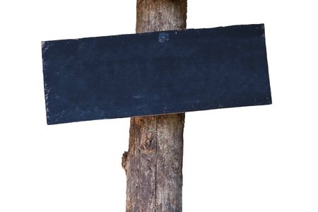 Blank board attach with a treeの写真素材