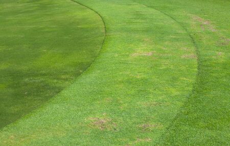 Edge of the golf green and roughの写真素材