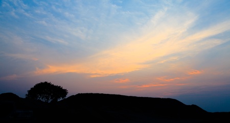 Sunset in the forestの写真素材