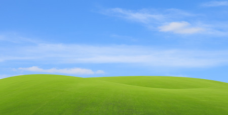 Green field with blue skyの写真素材
