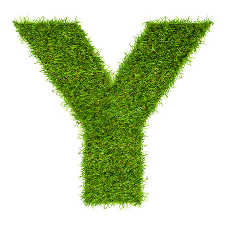 Letter Y made of green grass isolated on whiteの写真素材