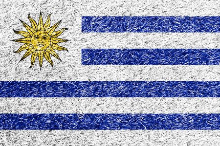 Uruguay flag on grass background textureの写真素材