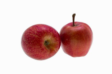 Fresh red apple on a white backgroundの写真素材