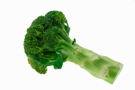fresh green broccoli isolated on white backgroundの写真素材